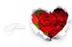 کارت ها و آرزوهای زیبا برای روز ولنتاین